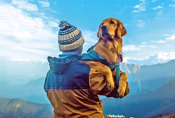 Pet-Friendly